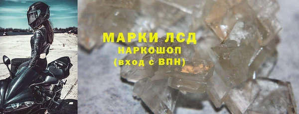 трава Новозыбков