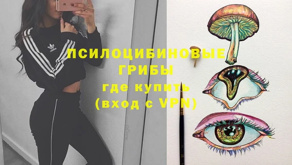 каннабис Беломорск