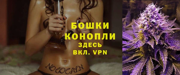 каннабис Белокуриха