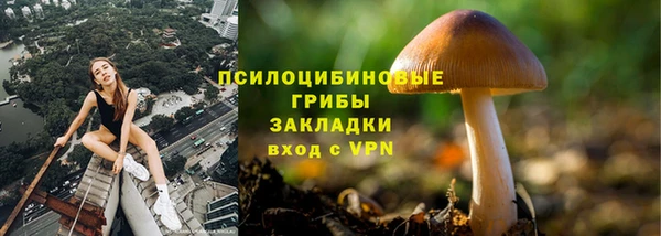 каннабис Белокуриха