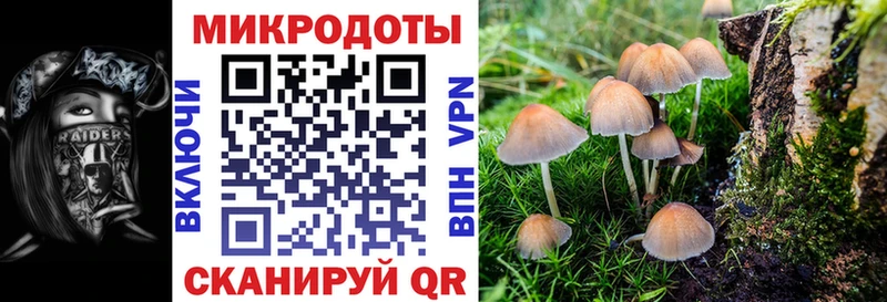 Галлюциногенные грибы MAGIC MUSHROOMS хочу Пионерский
